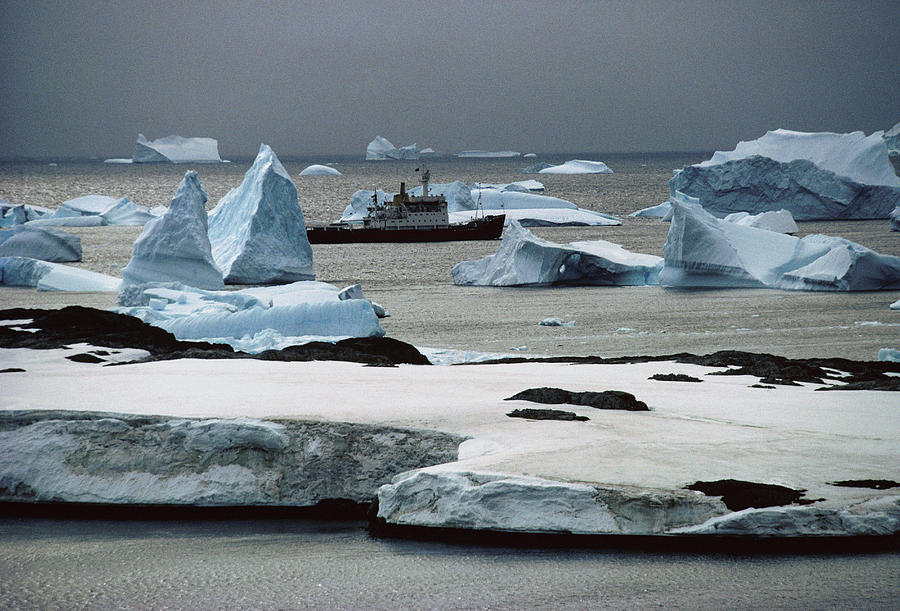 Ship Photograph - Ship Rrs Bransfield Among Icebergs by Doug Allan