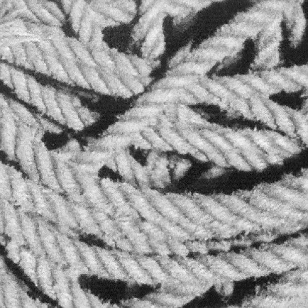 Rope Photograph - #shiplife #seafarer #instaquay #rope by Robert Puttman