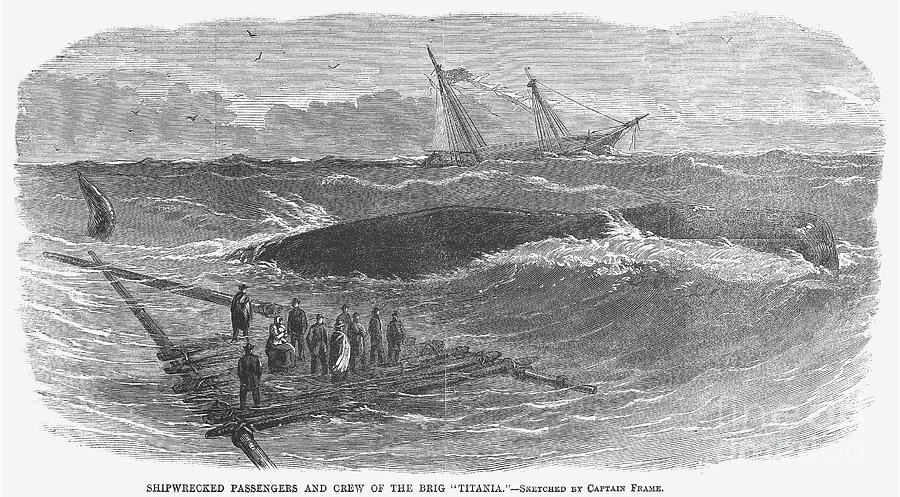 SHIPWRECK, c1866 Photograph by Granger