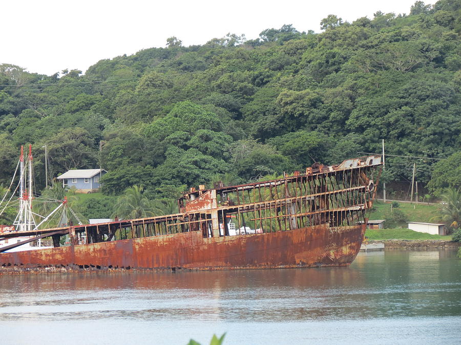 Shipwreck Photograph by Vijay Sharon Govender