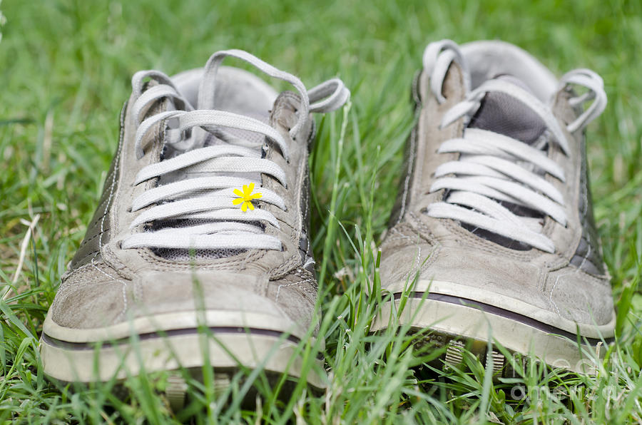 Shoes on the green grass Photograph by Mats Silvan