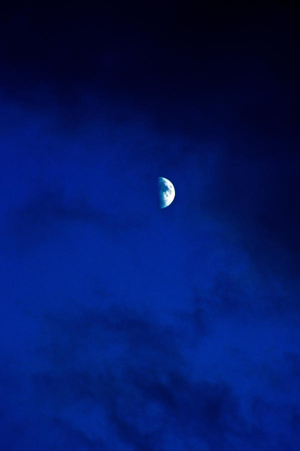 Shoot the Moon Photograph by Randall Cogle