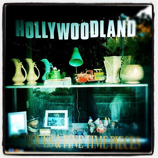 Hollywood Photograph - Shop by Torgeir Ensrud