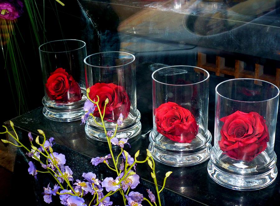 Rose Photograph - Shopwindow by Christine Burdine