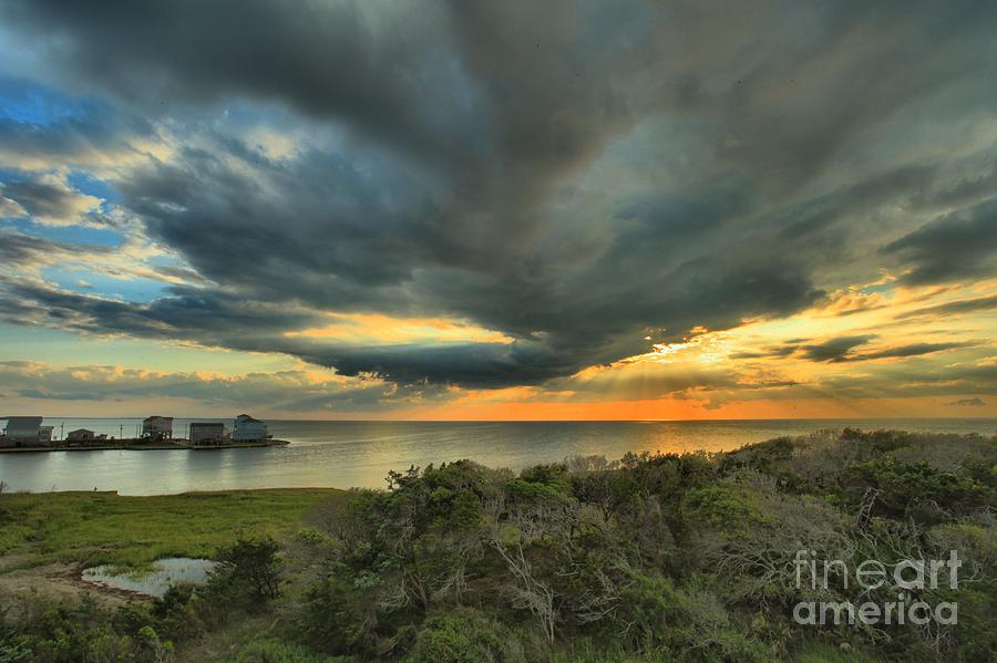 Sunset Photograph - Shore Brush Sunrise by Adam Jewell
