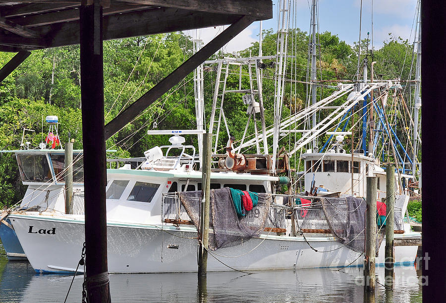 Shrimp Boats at the Marina Photograph by Wayne Nielsen