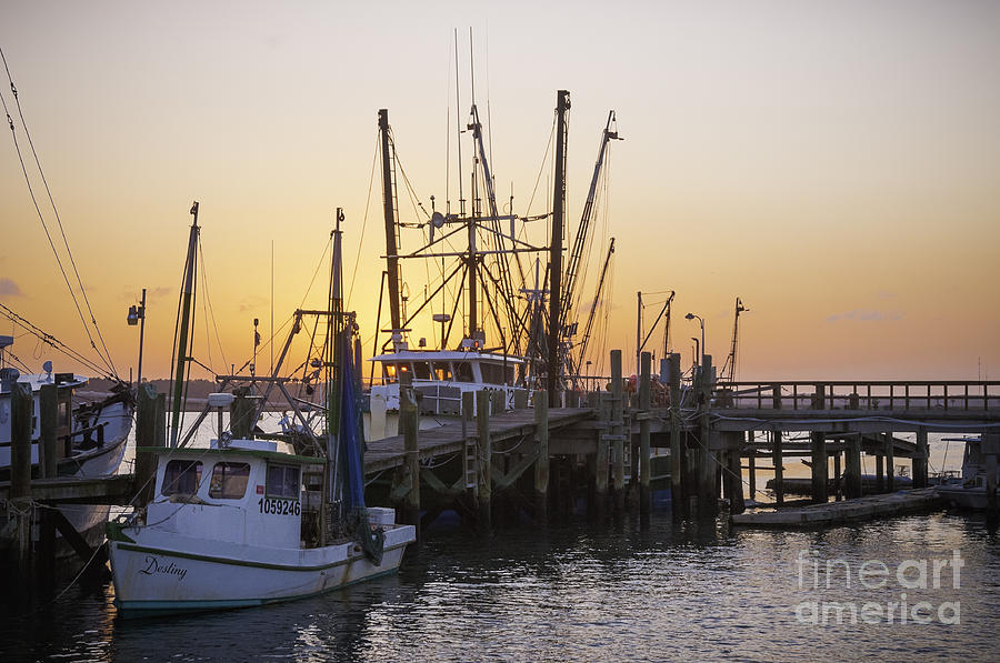 Shrimp Boats Port Royal Photograph by David Waldrop