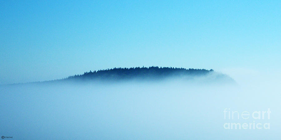 Mist Photograph - Shroud by Lizi Beard-Ward