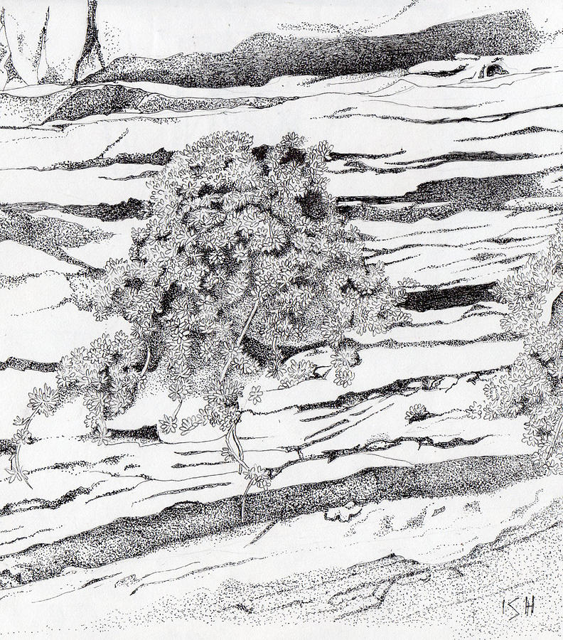 sedimentary rock drawing