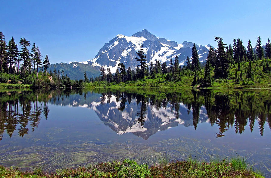 Shuksan Photograph by Corey Bigler - Fine Art America