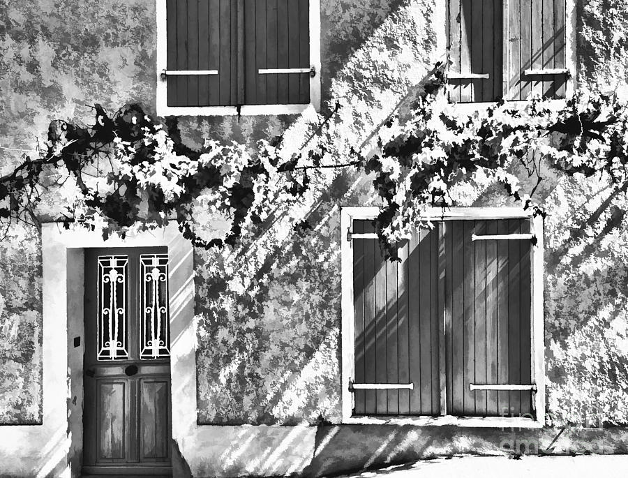 Black And White Photograph - Shutter and Vine France 2011 by Jack Torcello