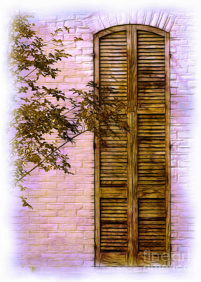 Shuttered Doorway Photograph by Judi Bagwell