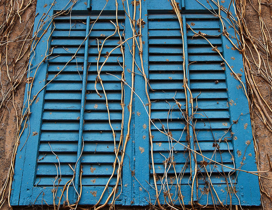 Still Life Photograph - Shutters and Vines by Charles Fletcher
