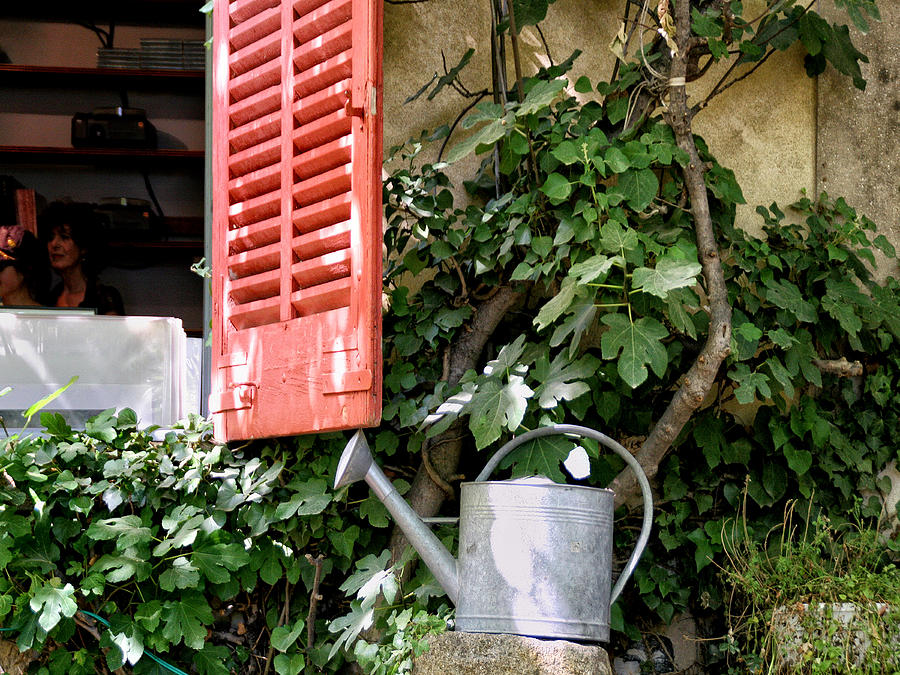 Shutters and Watering Can Photograph by Sandra Anderson