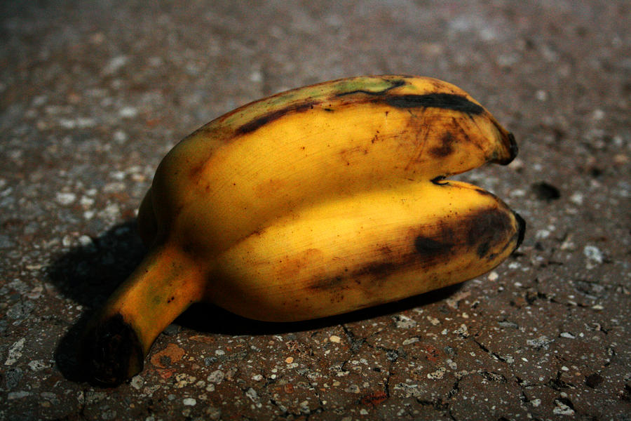 Siam Banana Photograph by Jennifer Bright Burr