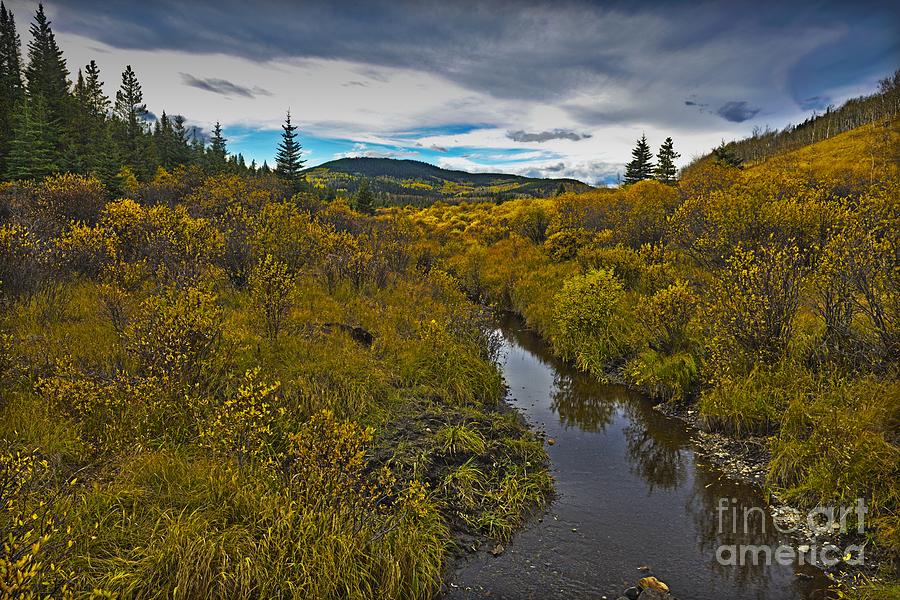Sibald Creek Valley Photograph by Edward Kovalsky