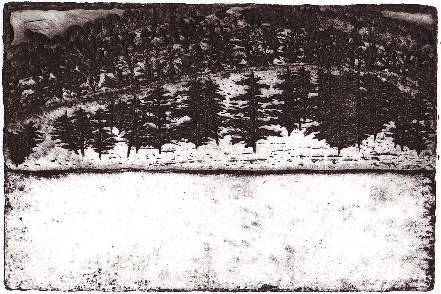 Landscape Mixed Media - Sibley in the Snow 1 by Taylor Lee Bisbee