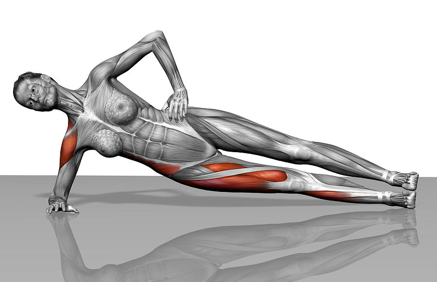 Side Plank Exercise Photograph by MedicalRF.com