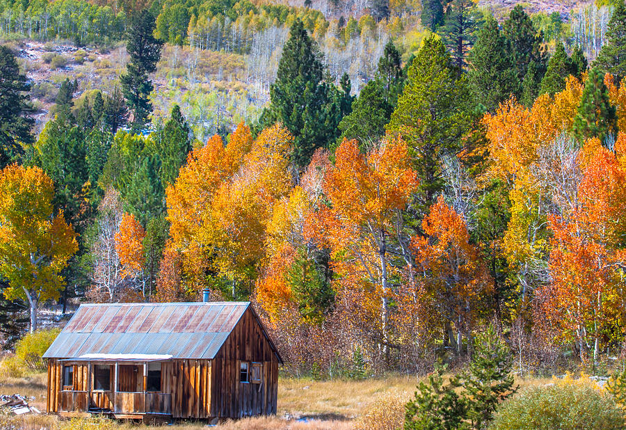 Sierra Cabin In The Fall Photograph