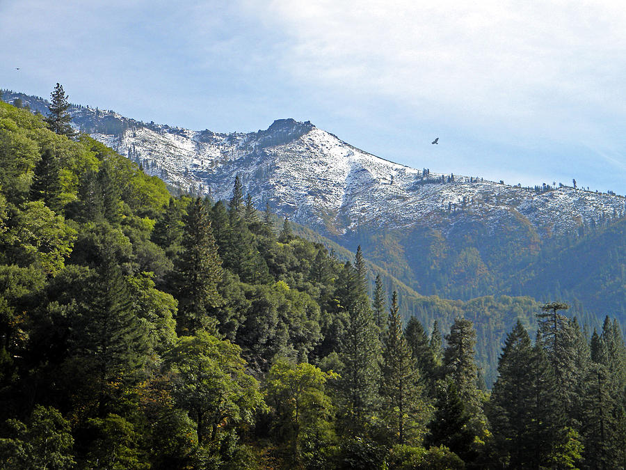 Sierra First Snow Photograph by Frank Wilson