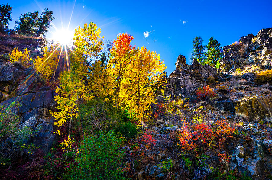 Sierra Nevada Fall Colors Lassen County California Photograph by Scott