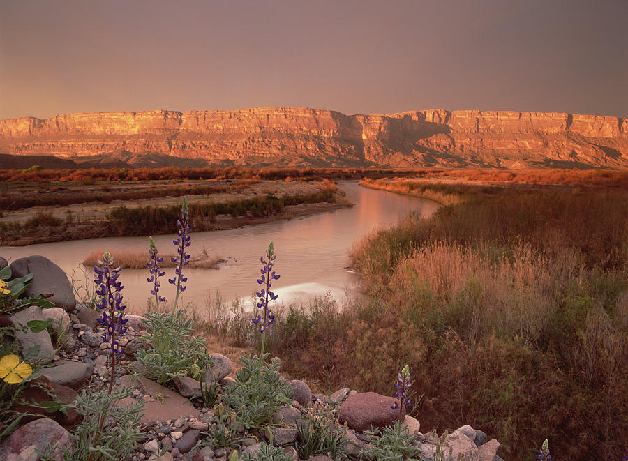 Sierra Ponce And Rio Grande Big Bend Photograph by Tim Fitzharris
