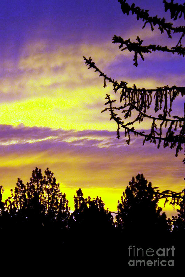 sierra Sunrise Photograph by Gary Brandes