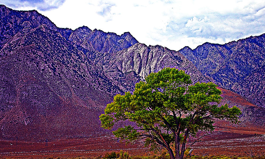 Sierra View Photograph by John Bennett