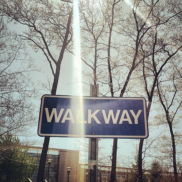 Spring Photograph - #sign #sunlight #walkway #trees by Kelly Clemente