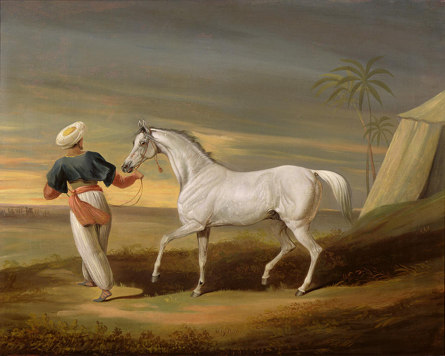 Horse Photograph - Signal - a grey Arab with a Groom in the Desert by David of York Dalby