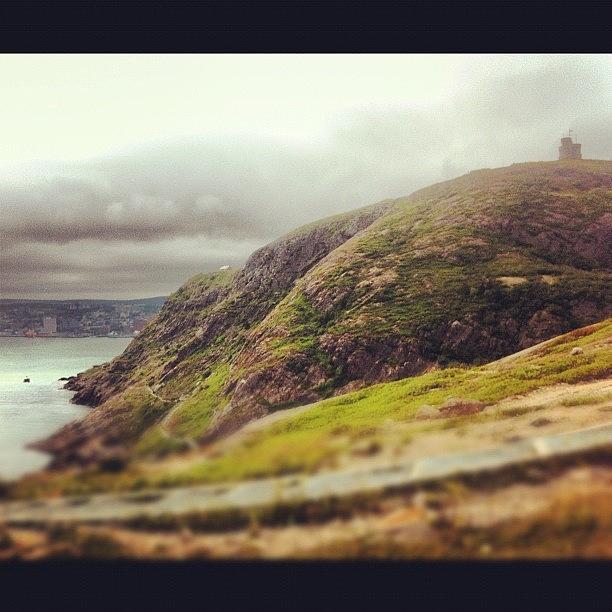 St. John's Photograph - Signal Hill by Candice Walsh