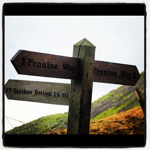 Signpost Photograph - #signpost #pennineway #yorkshiredales by Adam Coleman