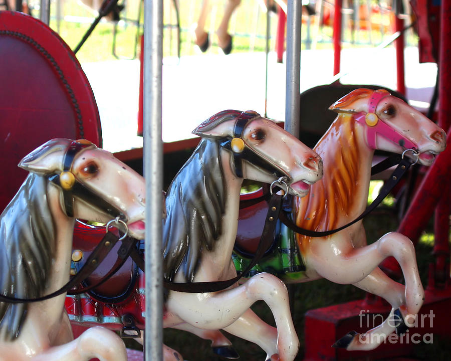 Silent Racers Carousel Horses Photograph by Smilin Eyes Treasures