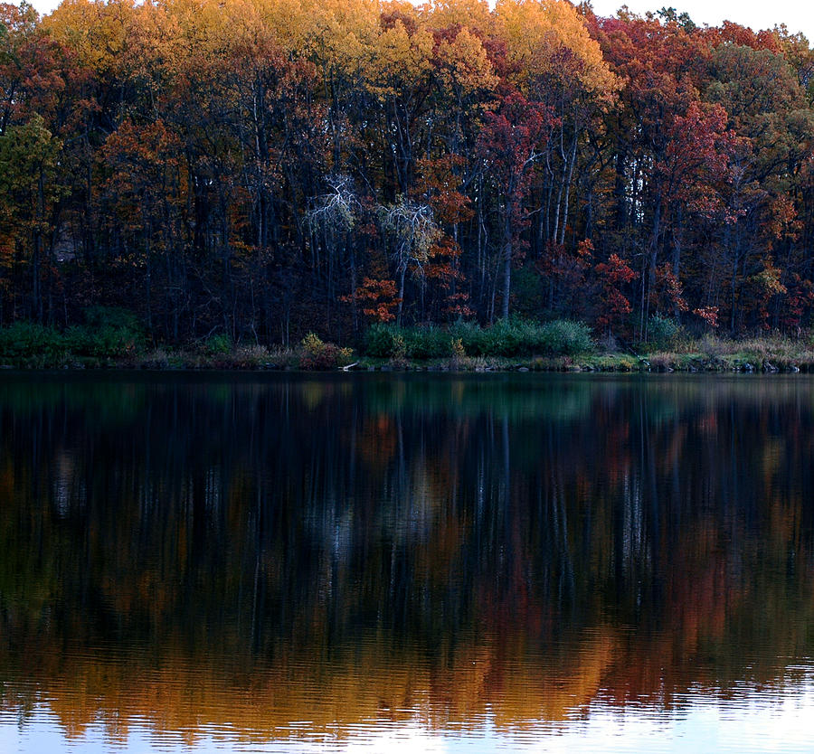 Silent Reflections of Fall Photograph by LeeAnn McLaneGoetz McLaneGoetzStudioLLCcom