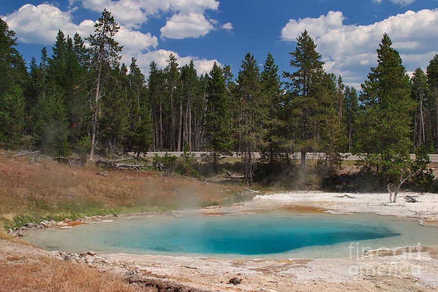 Yellowstone National Park Photograph - Silex Spring by Charles Kozierok