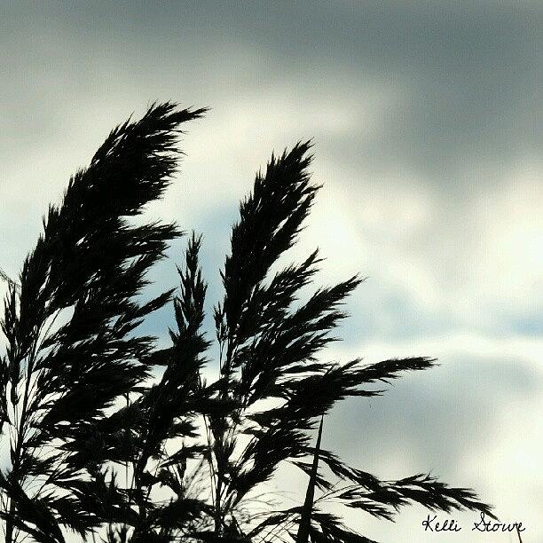 Clouds Photograph - Silhouette by Kelli Stowe