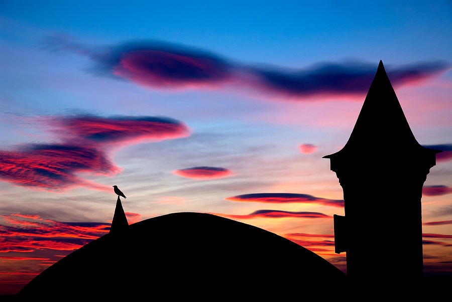Skyline Photograph - Silhouette by Okan YILMAZ