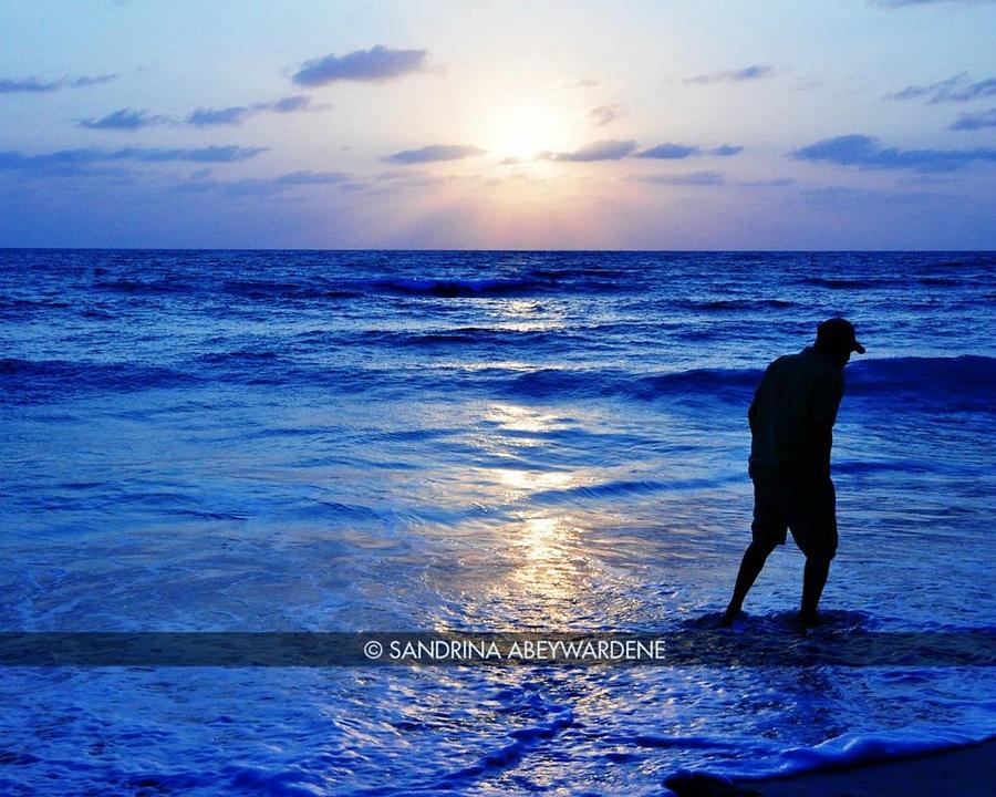 Waterscapes Photograph - Silhouette by Sandrina Abeywardene