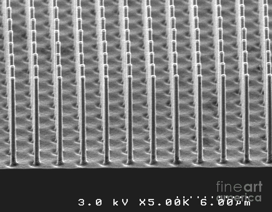 Silicon Nanograss Photograph by Alcatel-Lucent/Bell Labs Silicon Nanograss Photograph by Alcatel-Lucent/Bell Labs