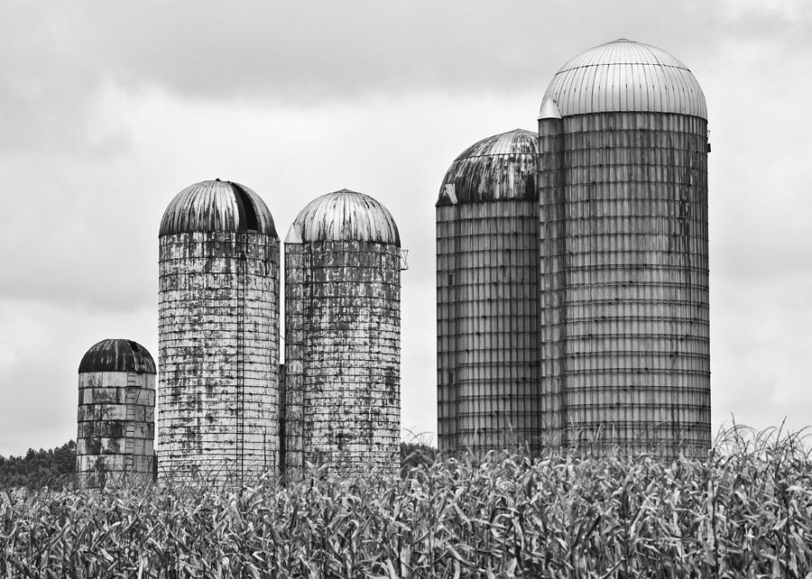 blue silo farms