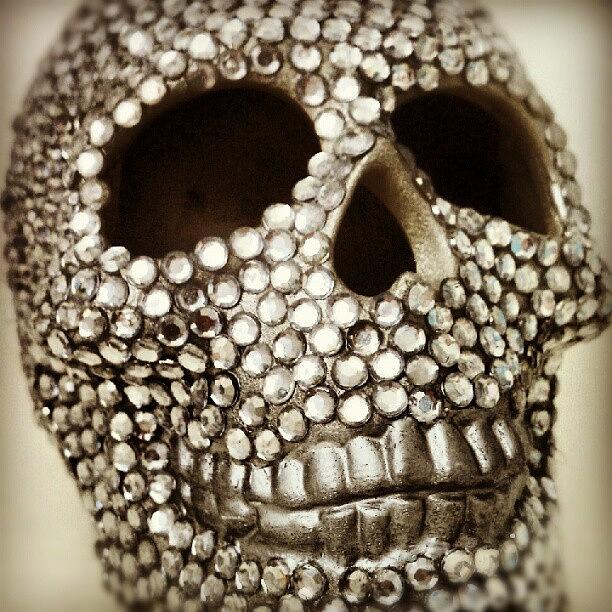 Skull Photograph - Silver Bejeweled Skull By by Troy Thomas