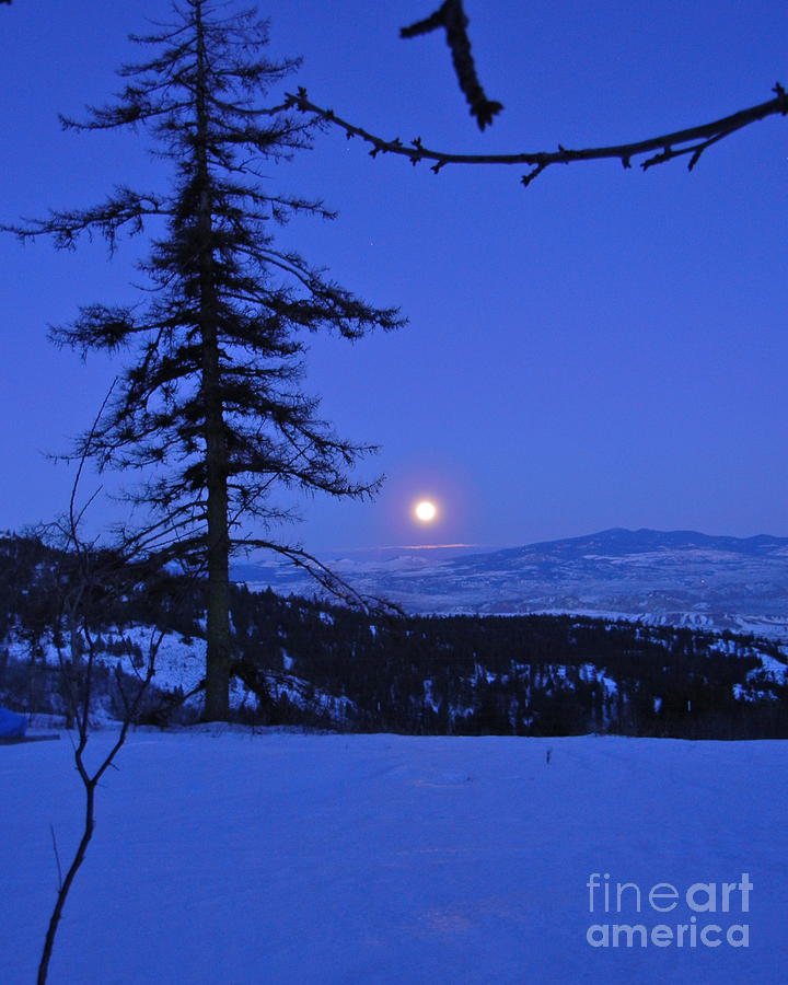 Silver-Blue Moon Photograph by KD Johnson