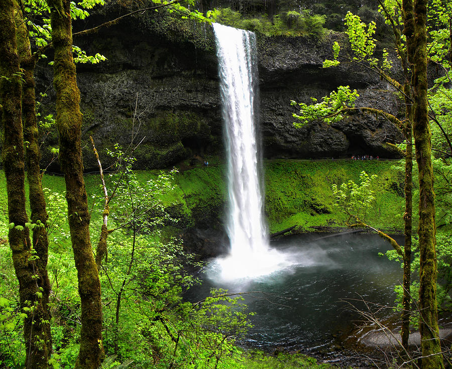 Silver Falls Photograph by Daniel Lindquist - Fine Art America