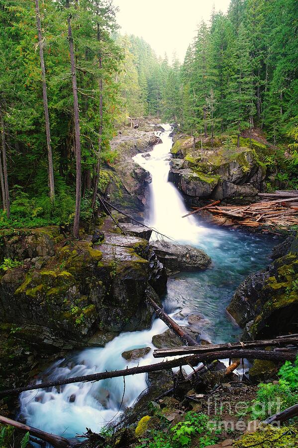 Silver Falls Full View Photograph by Jeff Swan - Fine Art America