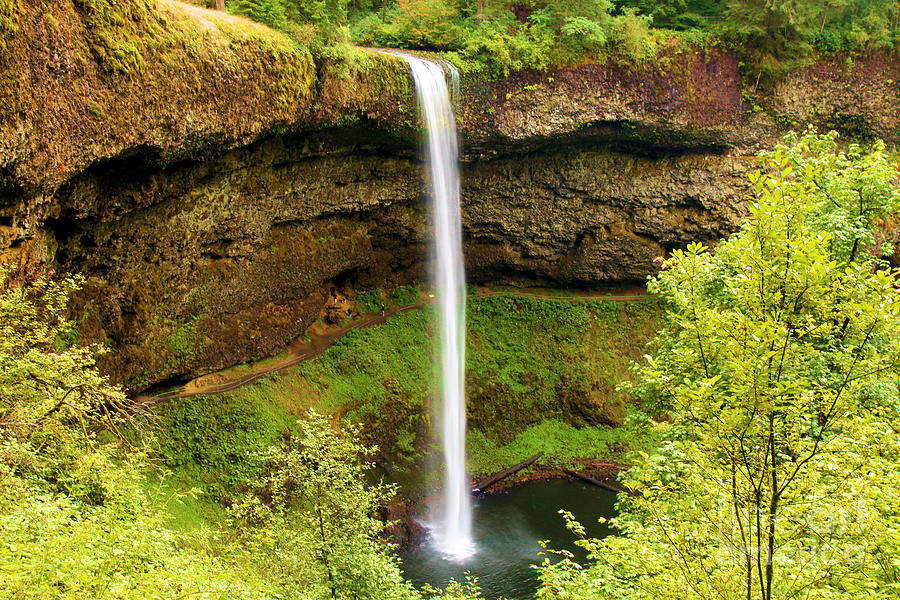 Silver Falls South Falls Photograph by Adam Jewell