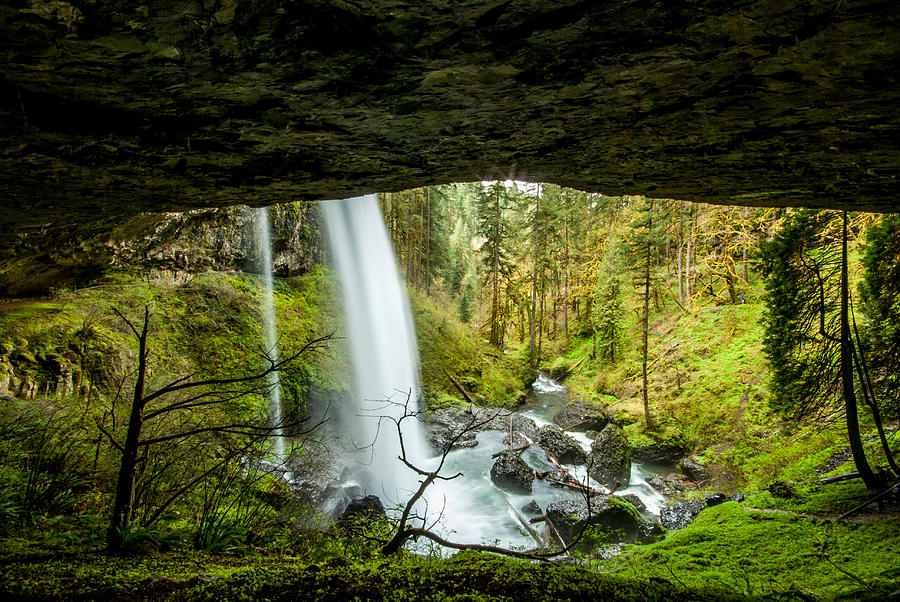 Silver Falls State Park Four Photograph By Josh Whalen Fine Art America   Silver Falls State Park Four Josh Whalen 