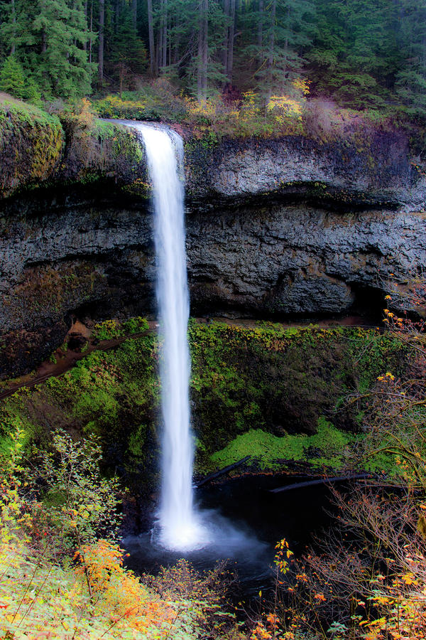 Silver Falls State Park Oregon 4 by Lee Santa