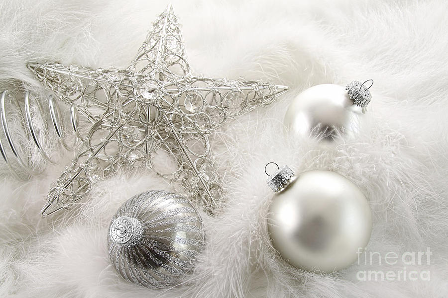 Silver holiday ornaments in feathers Photograph by Sandra Cunningham
