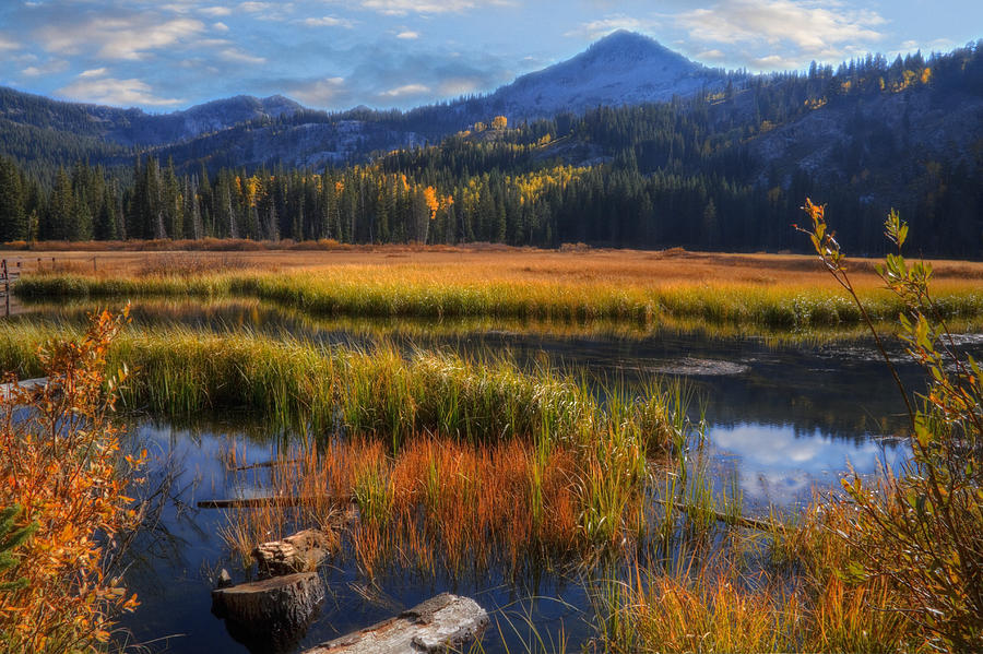 Summer Photograph - Silver Lake in the Wasatch Mountains by Douglas Pulsipher