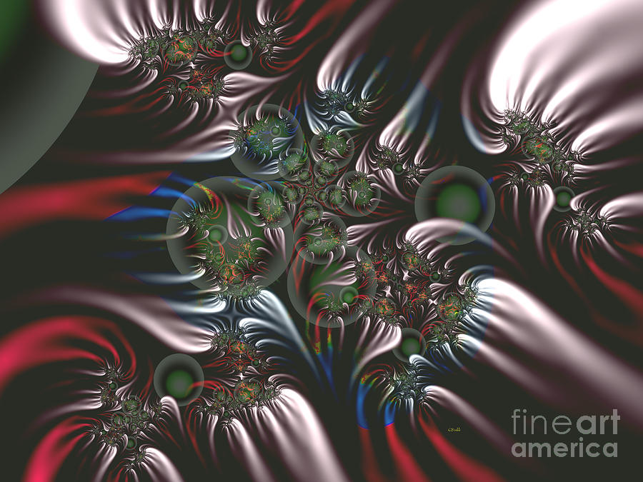 Silver Seedpods Digital Art by Claire Bull